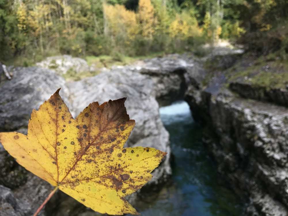 Bunt ist die Landschaft rund um den Sylvensteinsee im Herbst - dieser Ort am Sylvenstein ist geheim