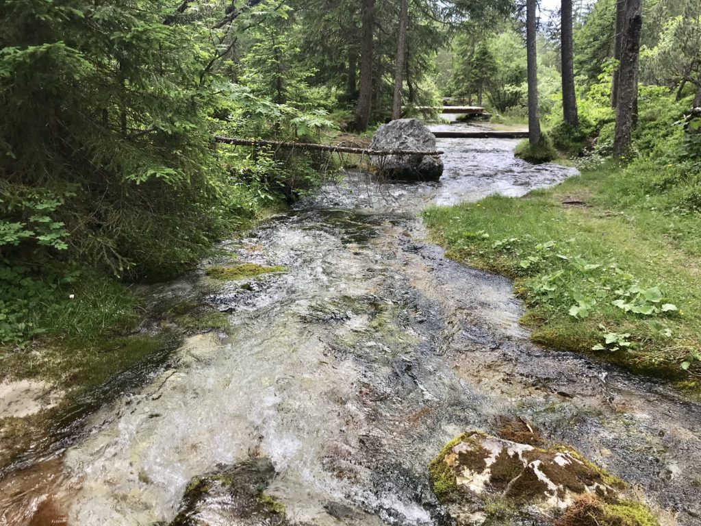 Die junge Isar und die grüne Aulandschaft beim Isarursprung 