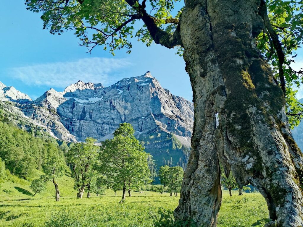 MTB Sylvensteinsee - vom Sylvensteinspeichersee in die Eng zum Ahornboden mountainbiken