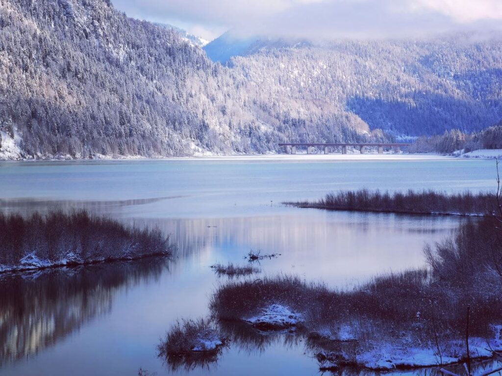 Vom Sylvensteinsee in Richtung Vorderriss winterwandern