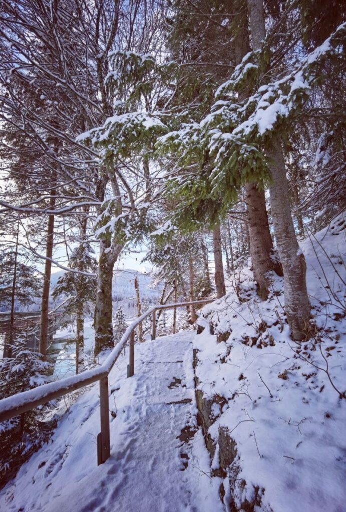 Am Sylvensteinsee winterwandern - das kurze Stück zum Aussichtspunkt