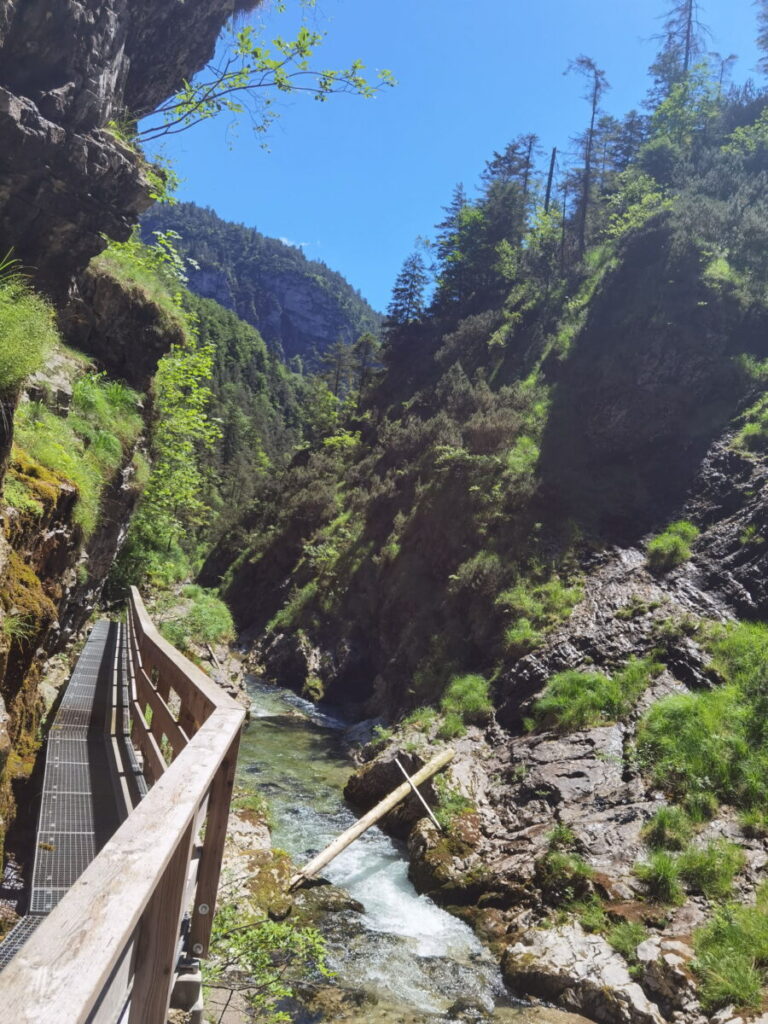 Geheimtipp Ausflugsziele Deutschland in der Natur: Die Weißbachschlucht