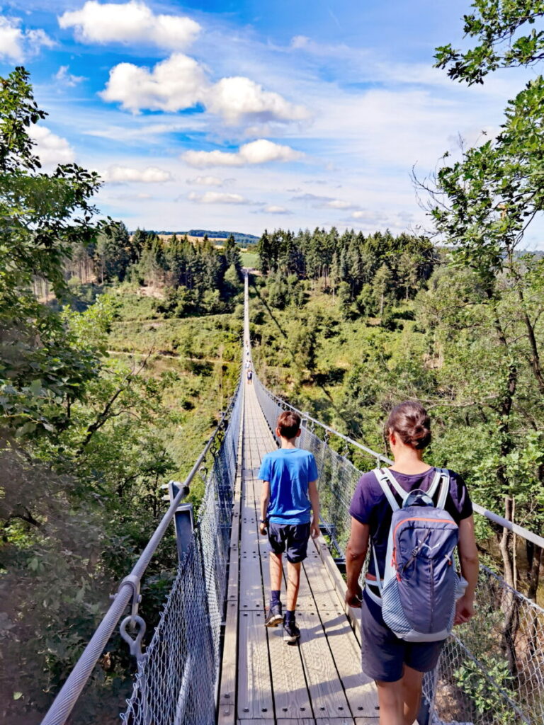 Ausflugsziele Deutschland zwischen Rhein und Mosel: Die Geierlay