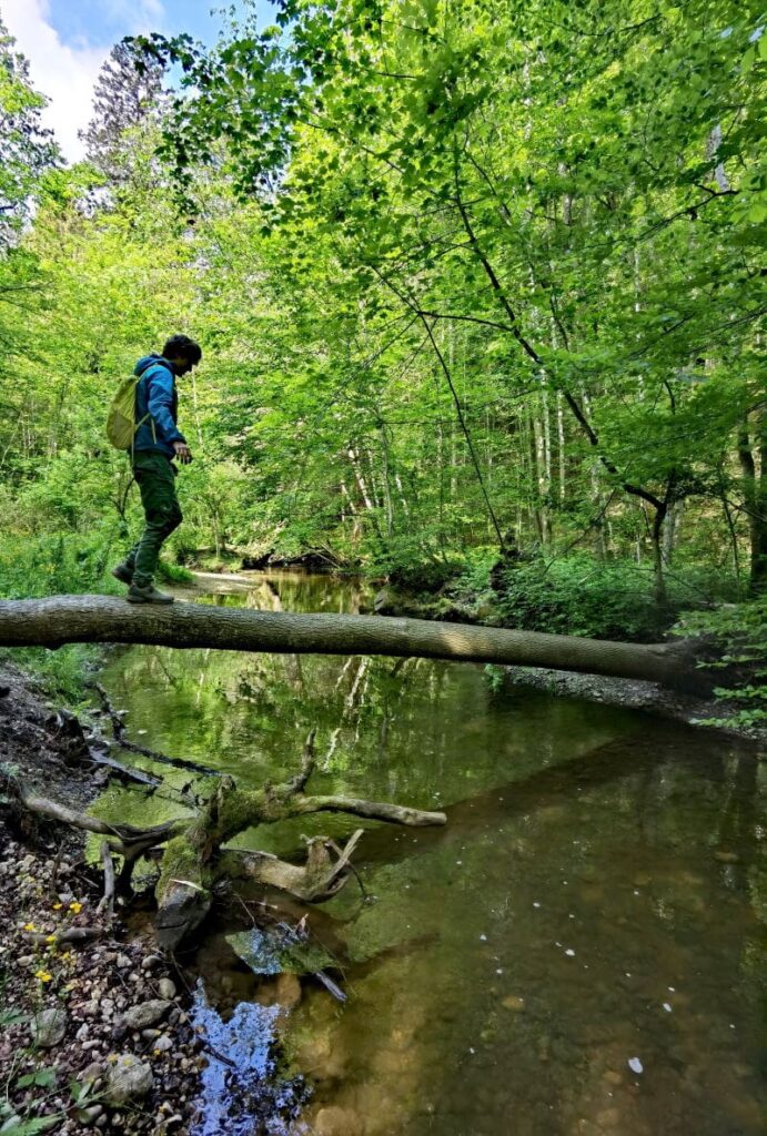 Ausflugsziele Deutschland am Starnberger See: Die Maisinger Schlucht