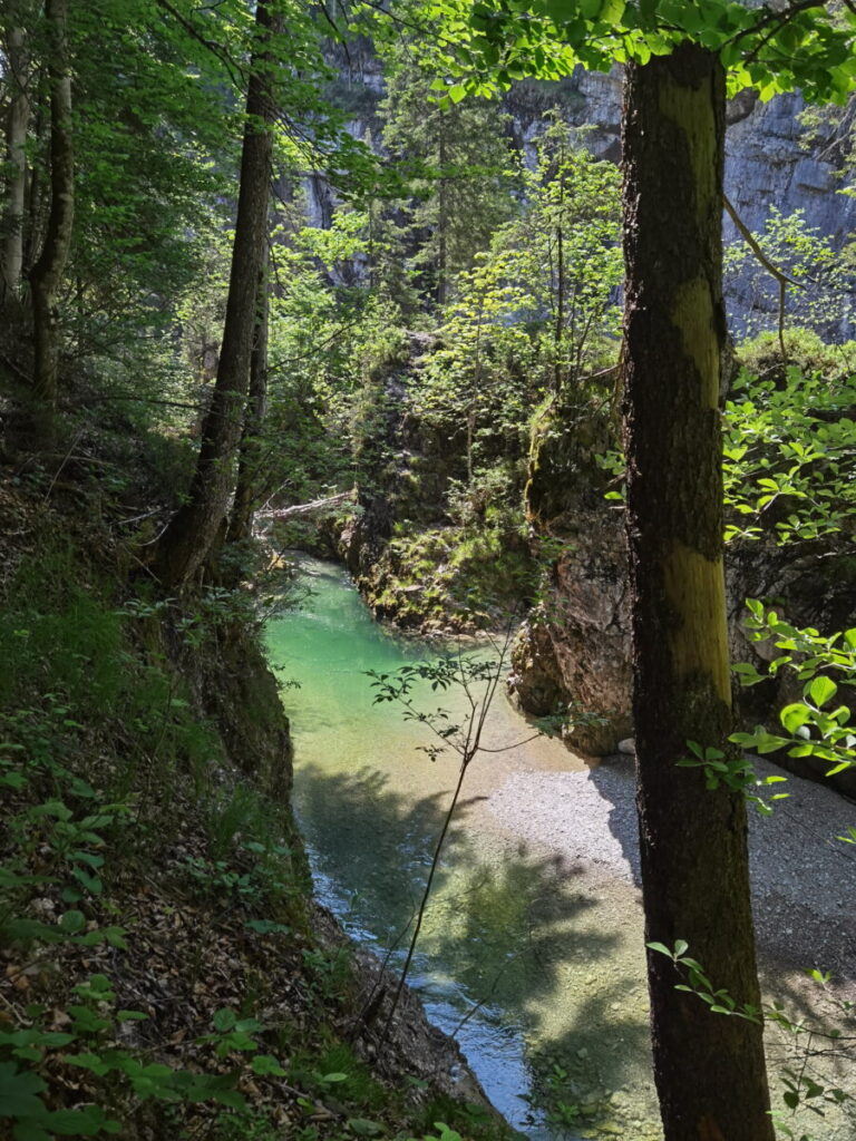 Blick in die Walchenklamm